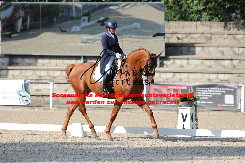 IMG_8933 | lmwpictures - Realisiert mit Pictrs.com