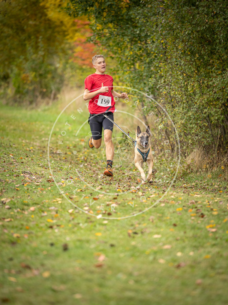 Pfotenfotografie_DV3A3803 | Hundefotografie, Tierfotograf, Pfotenfotografie, Fotoshooting Hund, Hunde Portrait, Hundesport, Hundeportraits, Heideshooting, Hunde, Sportfotograf, Hundefotograf, Turnierhundsport, THS,  - Realisiert mit Pictrs.com