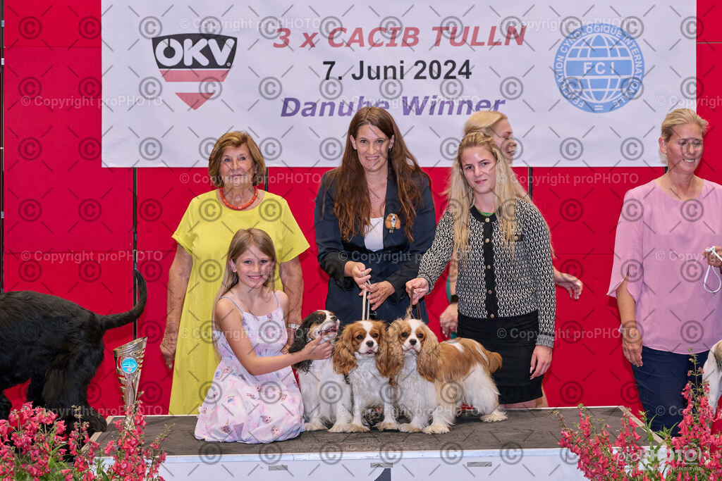 202406_ÖKV-IHA-Tulln24_NZ9_7802 | proPHOTO - Realisiert mit Pictrs.com