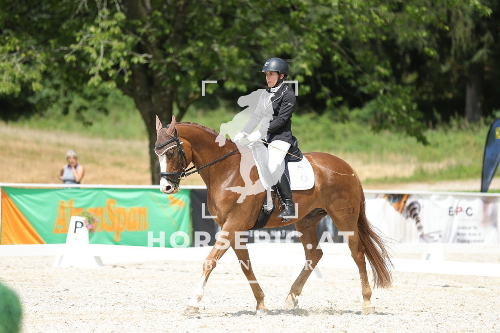 0P6A0608 | Willkommen bei Brunnmayr - Design & Fotografie – Ihrem Spezialisten für Reitturniere und Pferdeveranstaltungen in Oberösterreich, Salzburg und Bayern! Seit über 17 Jahren sind wir leidenschaftlich dabei.