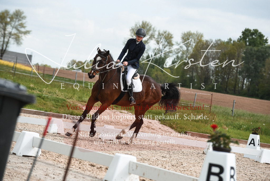20230518_JK-Röhrsdorf-10-076 | Pferde- und Turnierfotografie in Westsachsen. Pferdeportraits, Auftragszeichnungen und intuitive Kunst.