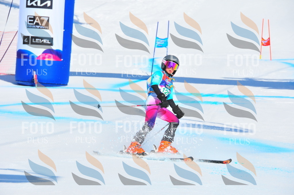 DSC_1004 | holidayphoto