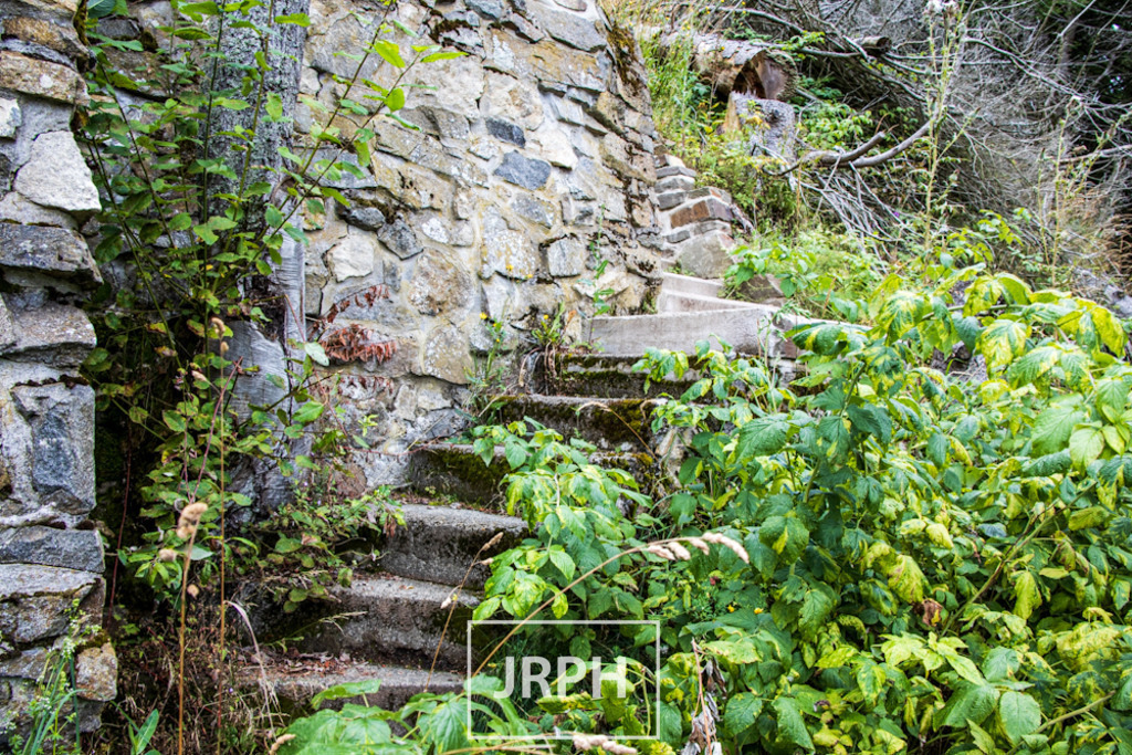 IMG_7916 | jrph - Realisiert mit Pictrs.com