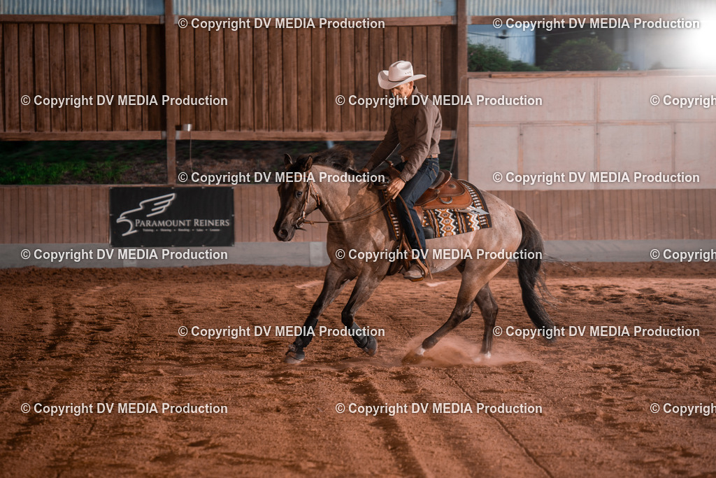 NE201460 | dv-media-shop - Realisiert mit Pictrs.com