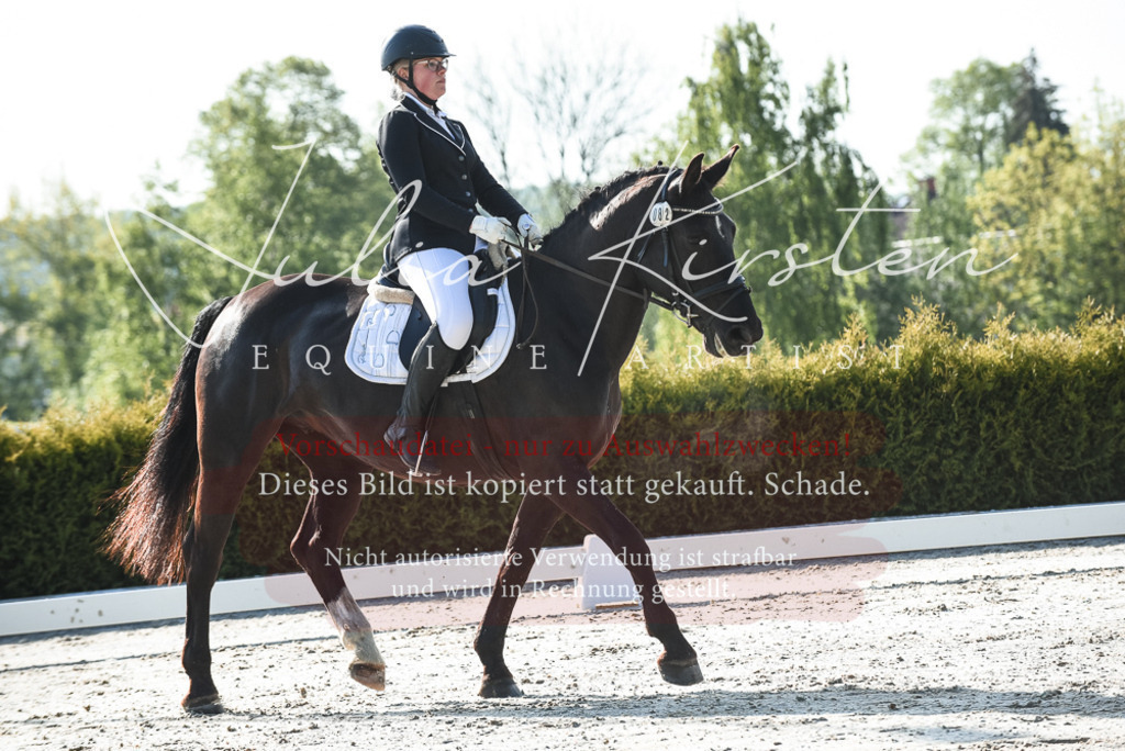 20230518_JK-Röhrsdorf-09-0644 | Pferde- und Turnierfotografie in Westsachsen. Pferdeportraits, Auftragszeichnungen und intuitive Kunst.