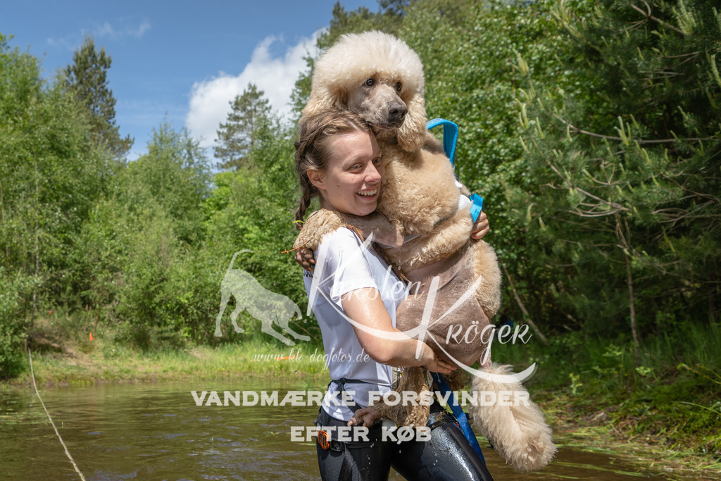 1217DKK992489 | kk-dogfotos