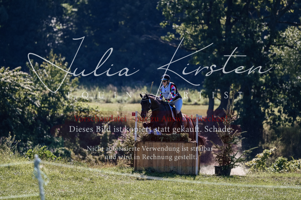 DSC_1537 | Pferde- und Turnierfotografie in Westsachsen. Pferdeportraits, Auftragszeichnungen und intuitive Kunst.