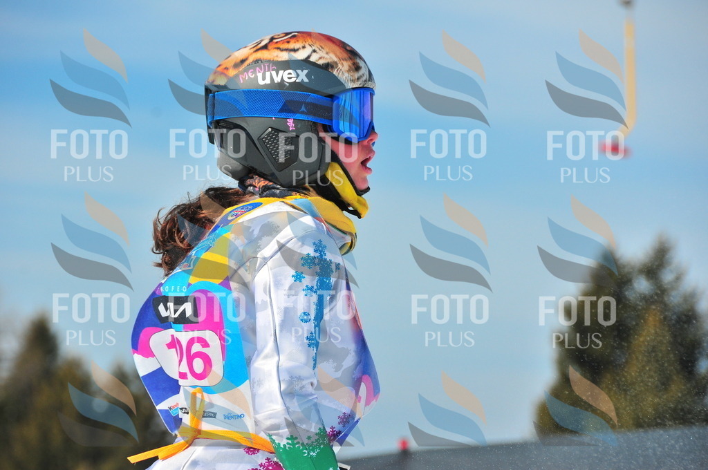 DSC_4834 | holidayphoto