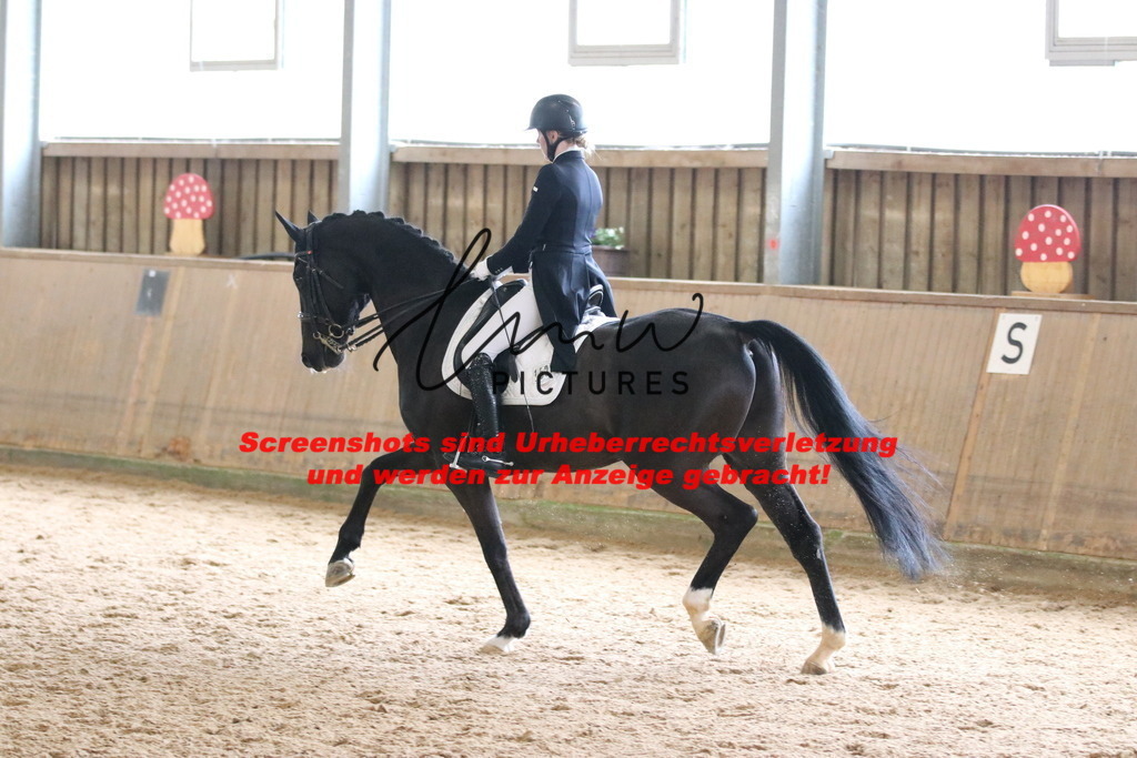 IMG_1401 | lmwpictures - Realisiert mit Pictrs.com