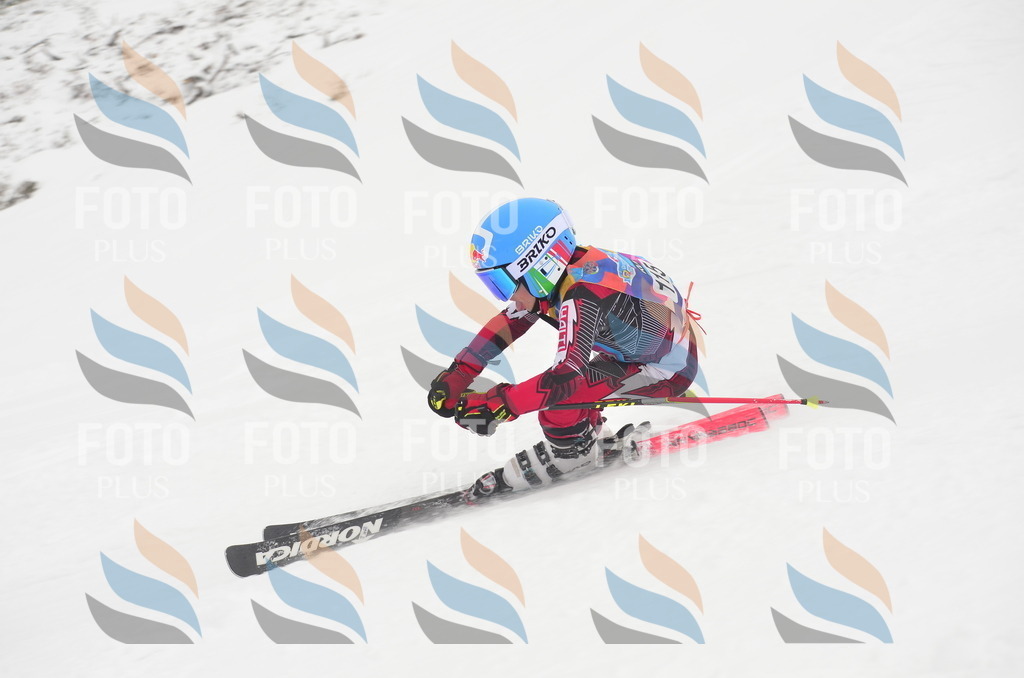 C1507 | holidayphoto