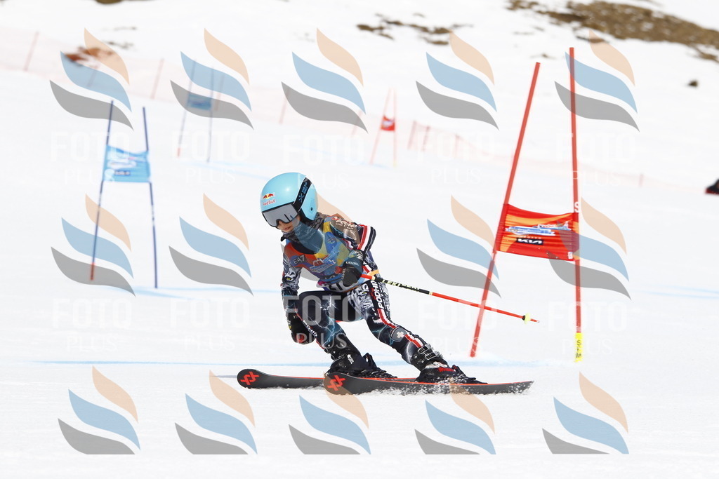 _U3G5627 | holidayphoto