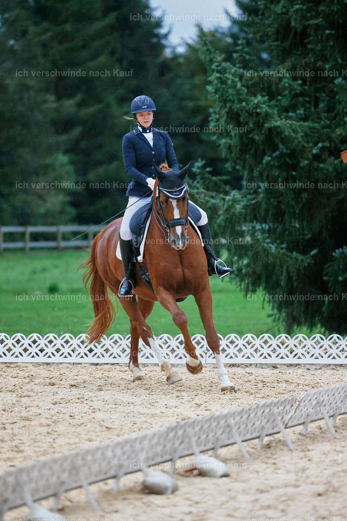 04_2-177-Dressur M__ -StoibPH-3028 | working equitationturnier fotograf videograf stoibphotography marixx film working equitation deutschland reitsport turnierfotografie eventfotografie equestrian events