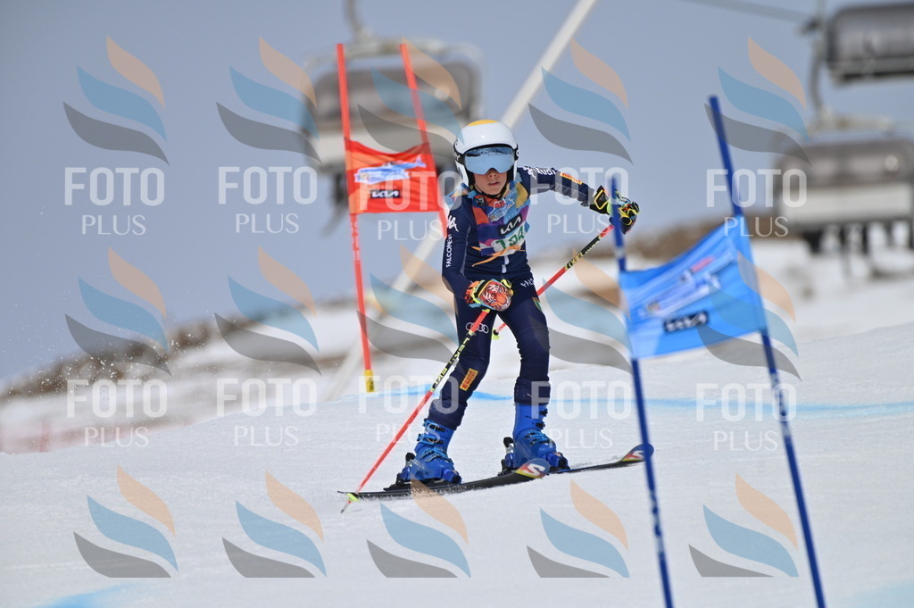 BGV_3728 | holidayphoto