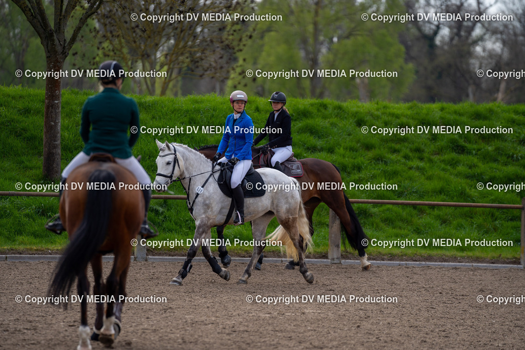 Springen Tag 3-441 | dv-media-shop - Realisiert mit Pictrs.com