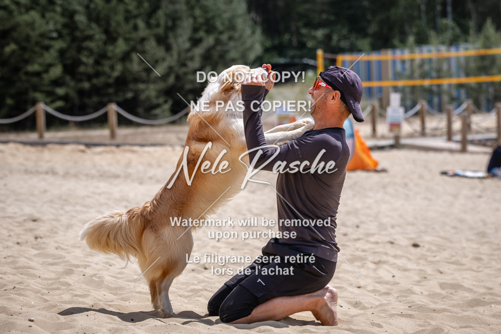 NR__2655 | nelerasche