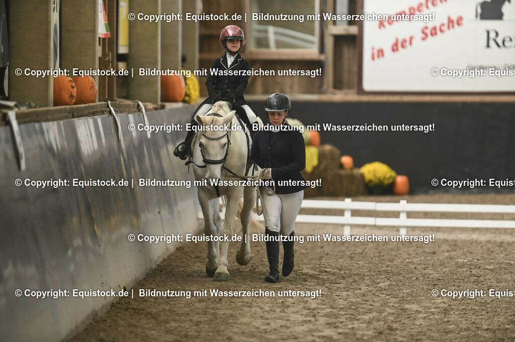 20231029_Führzügel-WB_Abteilung-02_0019 | Foto: Thomas Hartig