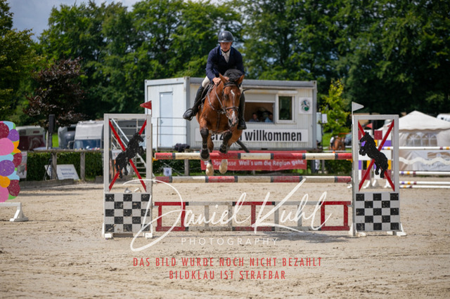 IMG_5633 | Turniersportfotografie; Pferdefotografie; Dressurfotografie