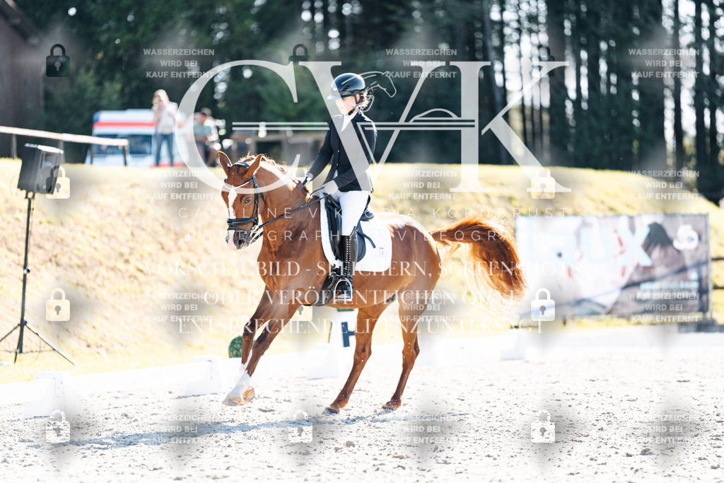 CK906083 | Turnierfotografie Pferdefotografie Trier Rheinland-Pfalz Pferdesport Reitsport Tierfotografie Sportfotografie Pferdevideo Pferdevideografie Equestrianvideography equestrianphotography  - Realisiert mit Pictrs.com