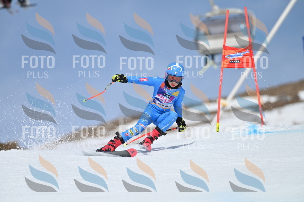 BGV_1162 | holidayphoto