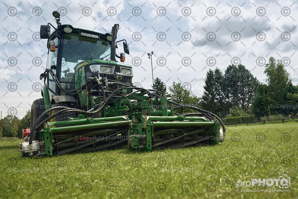 202507_Rernböck-Rasen_NZ9_1428 | proPHOTO - Realisiert mit Pictrs.com