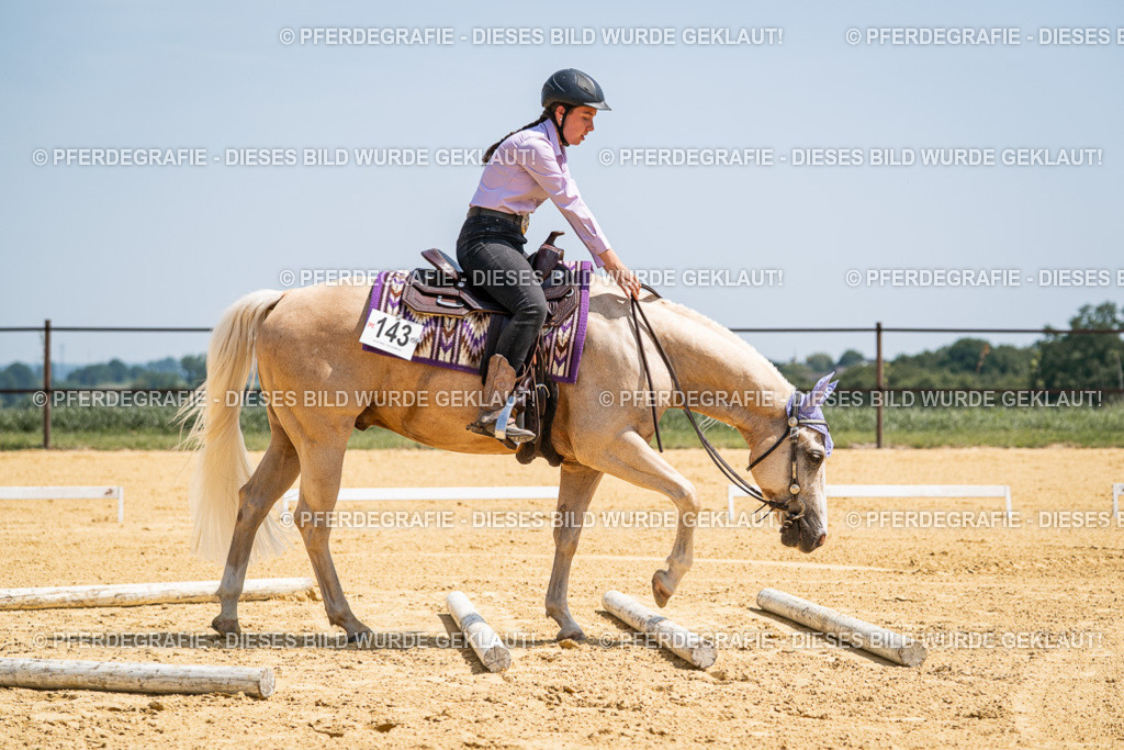 DSC01211 | Pferdegrafie