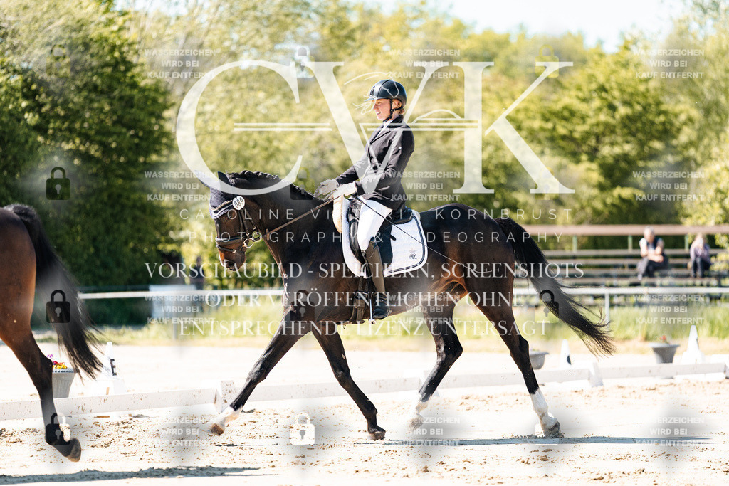 CK905031 | Turnierfotografie Pferdefotografie Trier Rheinland-Pfalz Pferdesport Reitsport Tierfotografie Sportfotografie Pferdevideo Pferdevideografie Equestrianvideography equestrianphotography  - Realisiert mit Pictrs.com