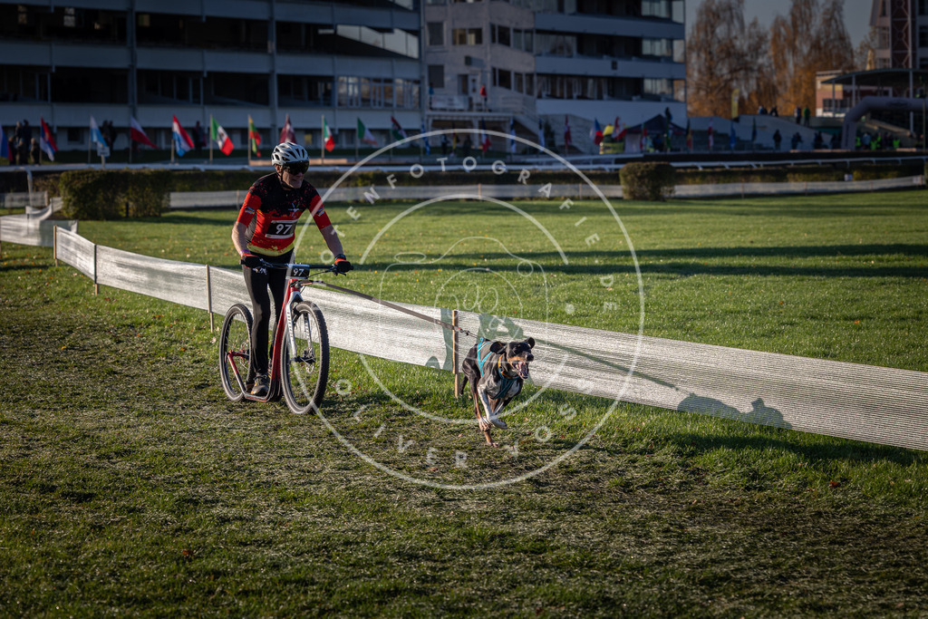 CaniXpix_0L8A3949 | Hundefotografie, Tierfotograf, Pfotenfotografie, Fotoshooting Hund, Hunde Portrait, Hundesport, Hundeportraits, Heideshooting, Hunde, Sportfotograf, Hundefotograf, Turnierhundsport, THS,  - Realisiert mit Pictrs.com