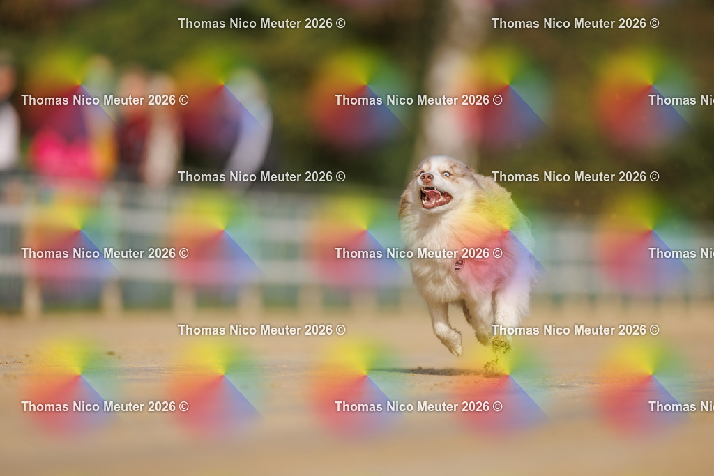 Thomas_Nico_Meuter(C)_03. Oktober 2026_223A0898 | Bild von Thomas Nico Meuter - Realisiert mit Pictrs.com