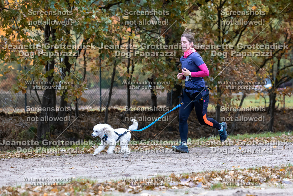 Dog Paparazzi - SD CaniX Championship 2025-368 | Dog Paparazzi Jeanette Grottendiek Fotografie & Videografie - Realisiert mit Pictrs.com