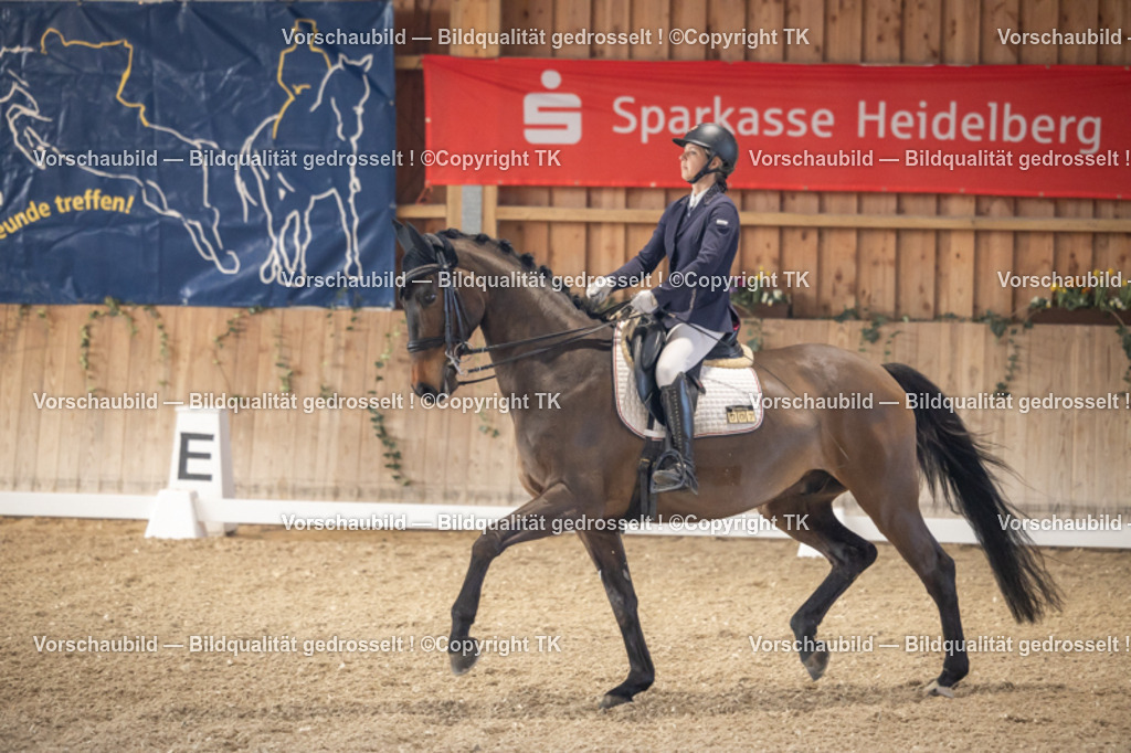 _D5A2631 | Emotionale Pferde- & People-Fotografie rund um Heidelberg, Leimen & Umgebung. Natürliche Fotos von Pferd, Mensch & Familie. Jetzt Termin sichern!