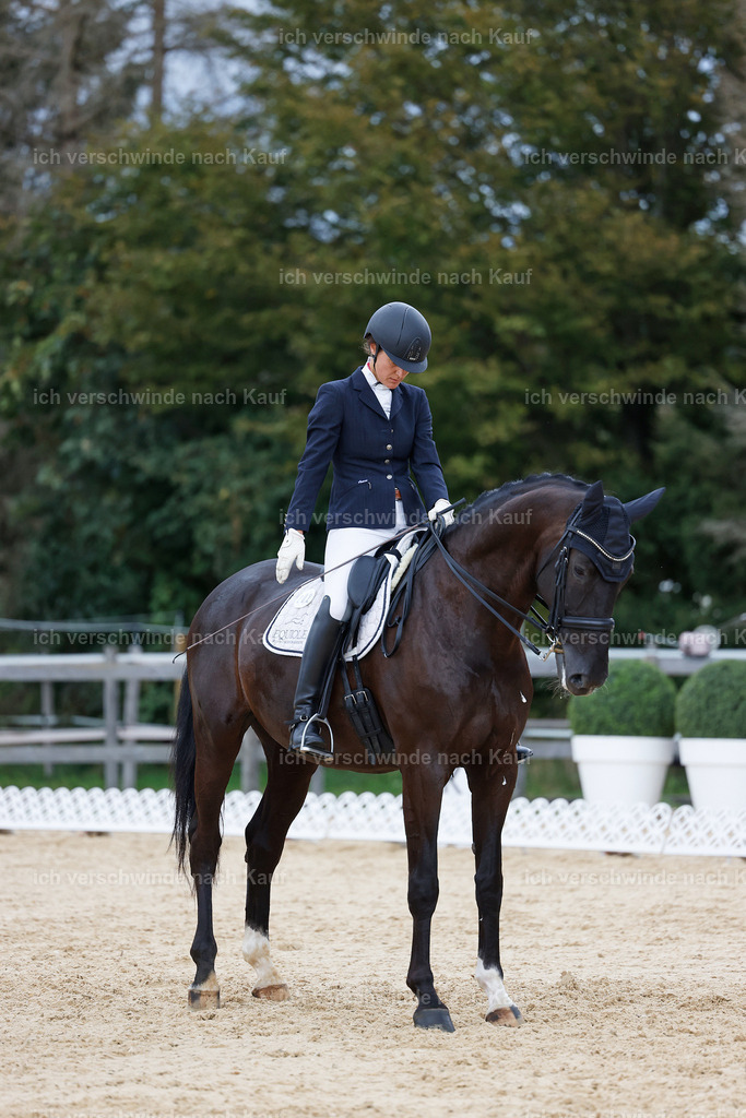 04_2-202-Dressur M__ -StoibPH-2941 | working equitationturnier fotograf videograf stoibphotography marixx film working equitation deutschland reitsport turnierfotografie eventfotografie equestrian events