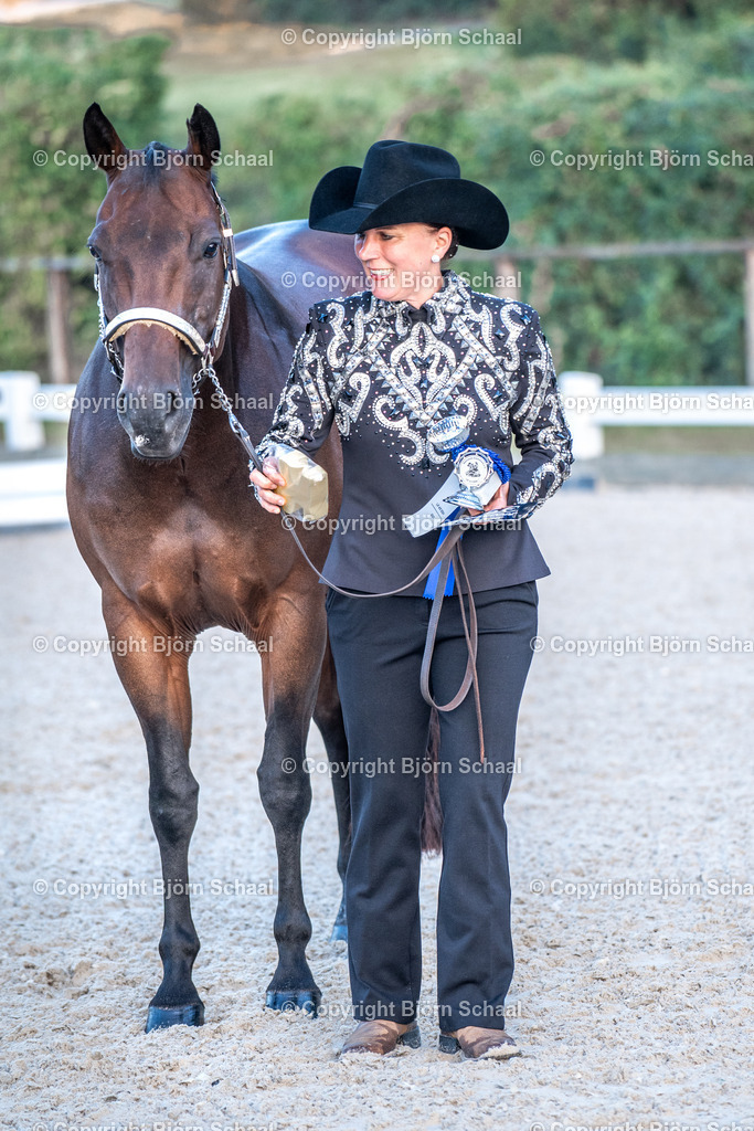HOB07629 | BS-foto