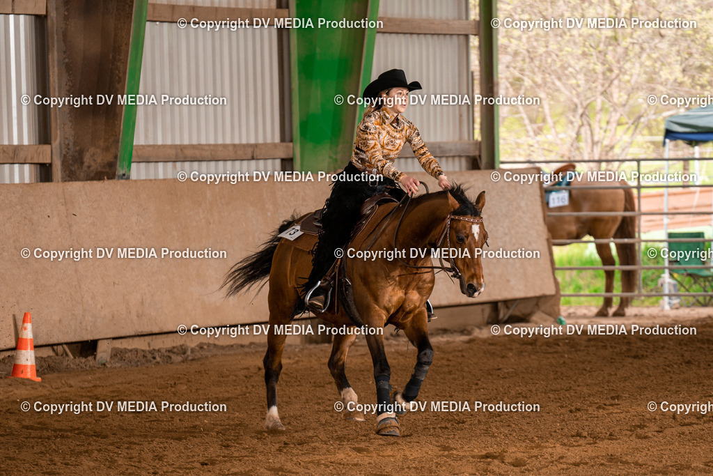 BAL00999 | dv-media-shop - Realisiert mit Pictrs.com