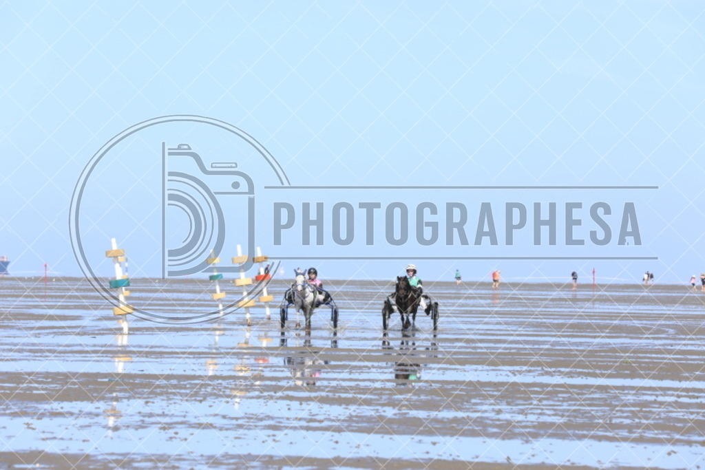 IMG_8732 | photographesa-joergens - Realisiert mit Pictrs.com