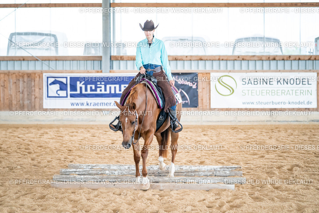 DSC03229 | Pferdegrafie