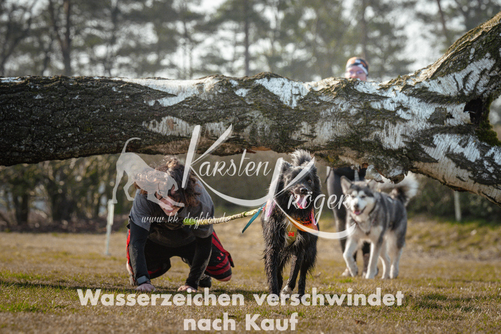 1000_ZZ90664 | kk-dogfotos