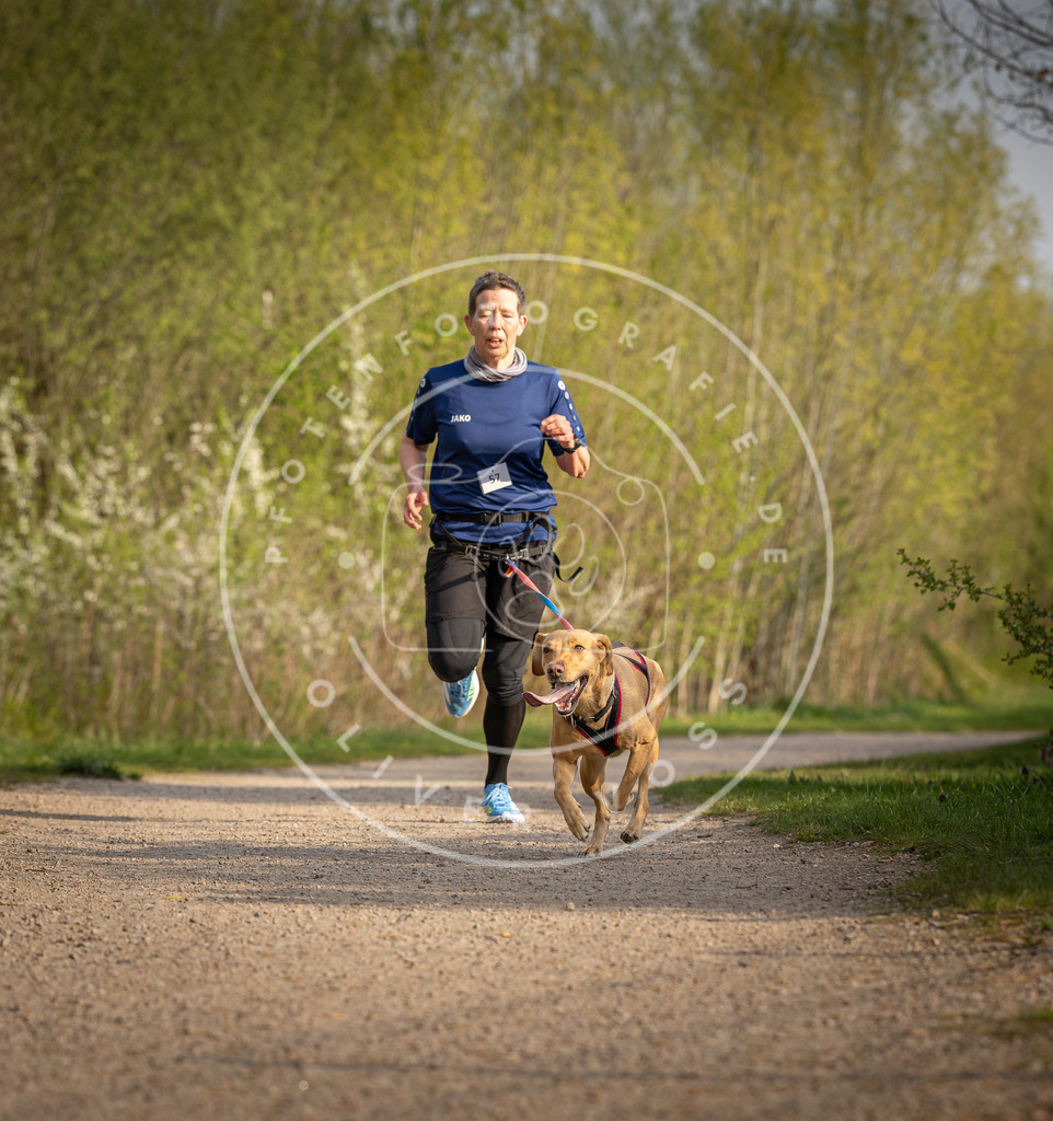 Pfotenfotografie_DV3A4671 | Hundefotografie, Tierfotograf, Pfotenfotografie, Fotoshooting Hund, Hunde Portrait, Hundesport, Hundeportraits, Heideshooting, Hunde, Sportfotograf, Hundefotograf, Turnierhundsport, THS,  - Realisiert mit Pictrs.com