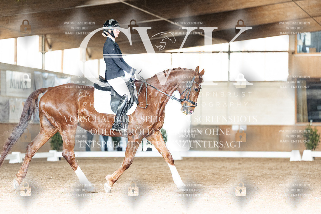 CK902388 | Turnierfotografie Pferdefotografie Trier Rheinland-Pfalz Pferdesport Reitsport Tierfotografie Sportfotografie Pferdevideo Pferdevideografie Equestrianvideography equestrianphotography  - Realisiert mit Pictrs.com