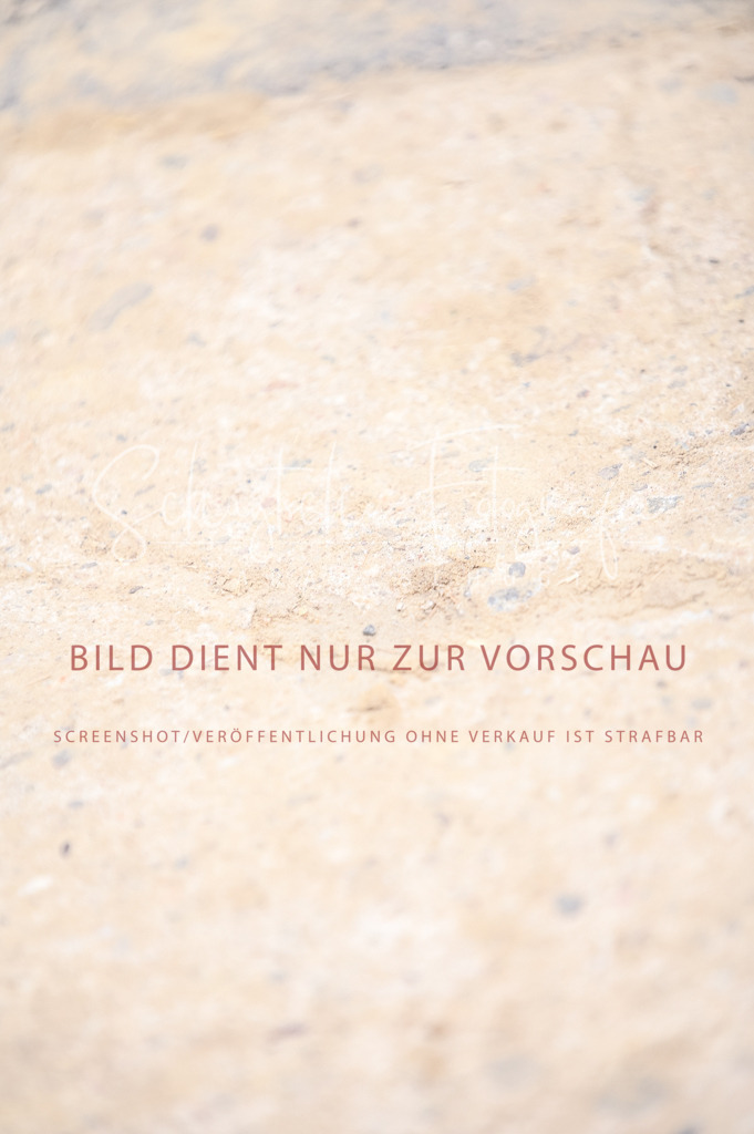 Schugtsche-Aluta25-44.DresssurreiterWB-120 | Schugtsche Fotografie - Realisiert mit Pictrs.com