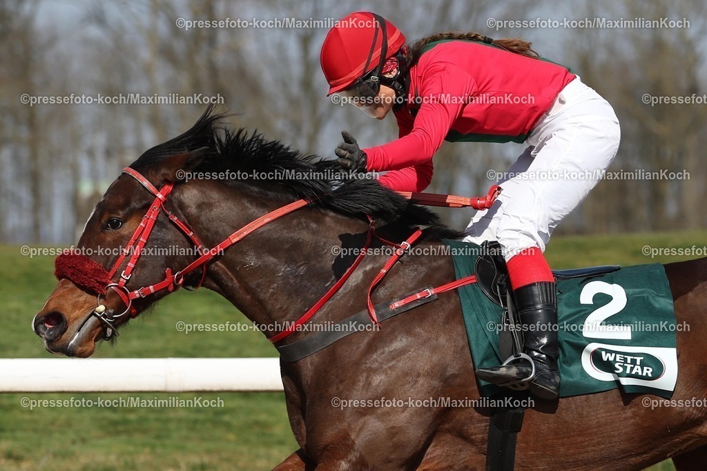 Do16032504010 | Nishiki Kamuro siegt unter Janina Boysen am 16.03.2025 Renntag in Dortmund. Copyright by Marc Ruehl - Veroeffentlichung nur gegen Honorar (zzgl.MwSt), Namensnennung und Beleg, Bank Routing Number: BIC GENODED1PAF, Bank Account Number: IBAN DE04 3706 2600 1201 6180 17, Steuer-Nr.: 203/5266/0306, Ust_Id_Nr.: De 122081417, Zur Gaulshuette 29, 50181 Bedburg, Phone: +49-(0)2272-83351, www.marcruehl.com, info@marcruehl.com, No Model Release, Abtretung von Persoenlichkeitsrechten der abgebildeten Person/Personen liegen nicht vor. Speichern in Bilddatenbanken oder Vervielfaeltigung ist ohne schriftliche Genehmigung nicht gestattet.