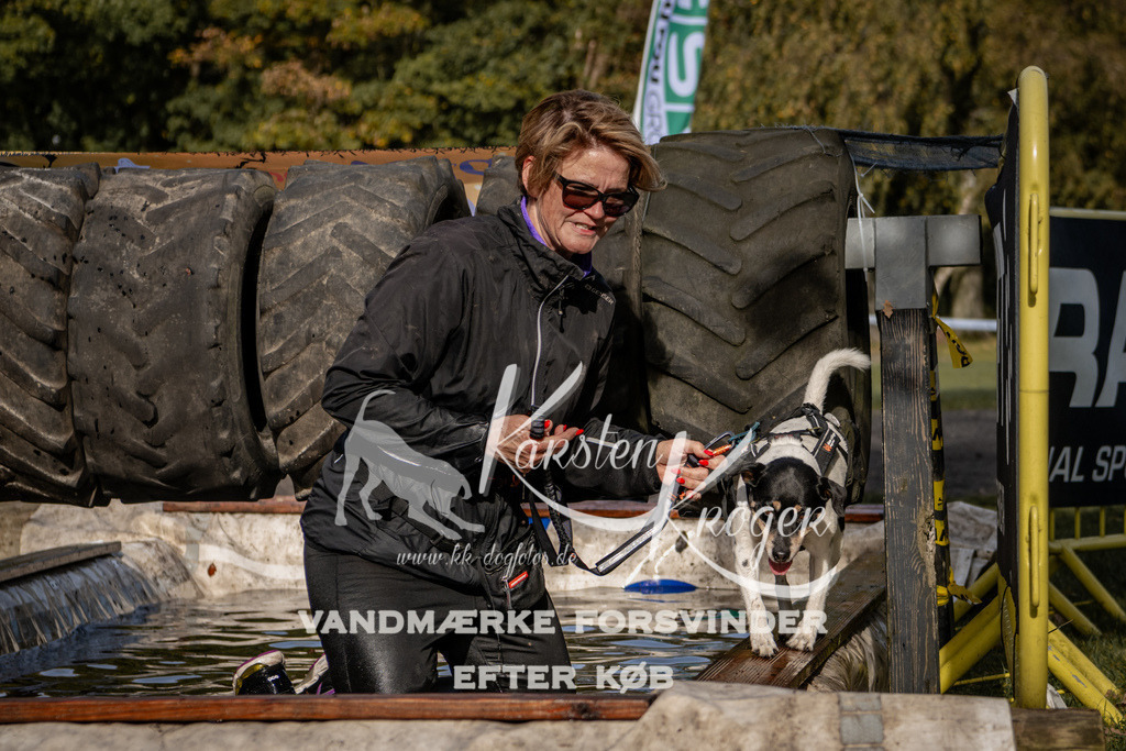 1331_ZZ92764 | kk-dogfotos