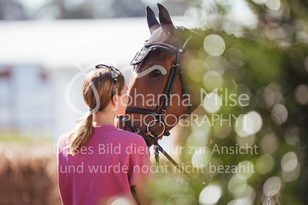 220705_Mühlen_SprPf-A2-200 | Late Entry Mühlen
05.07.2022
02 Springpferde-A**, 4-6jährige Pferde