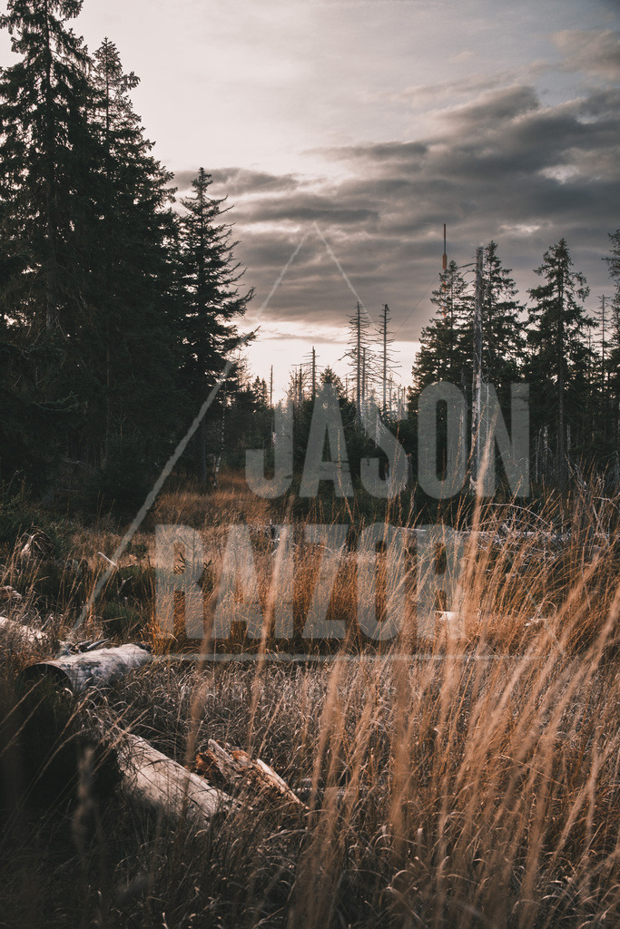 Einöde am Rand des Moors | jasonraizor - Realisiert mit Pictrs.com