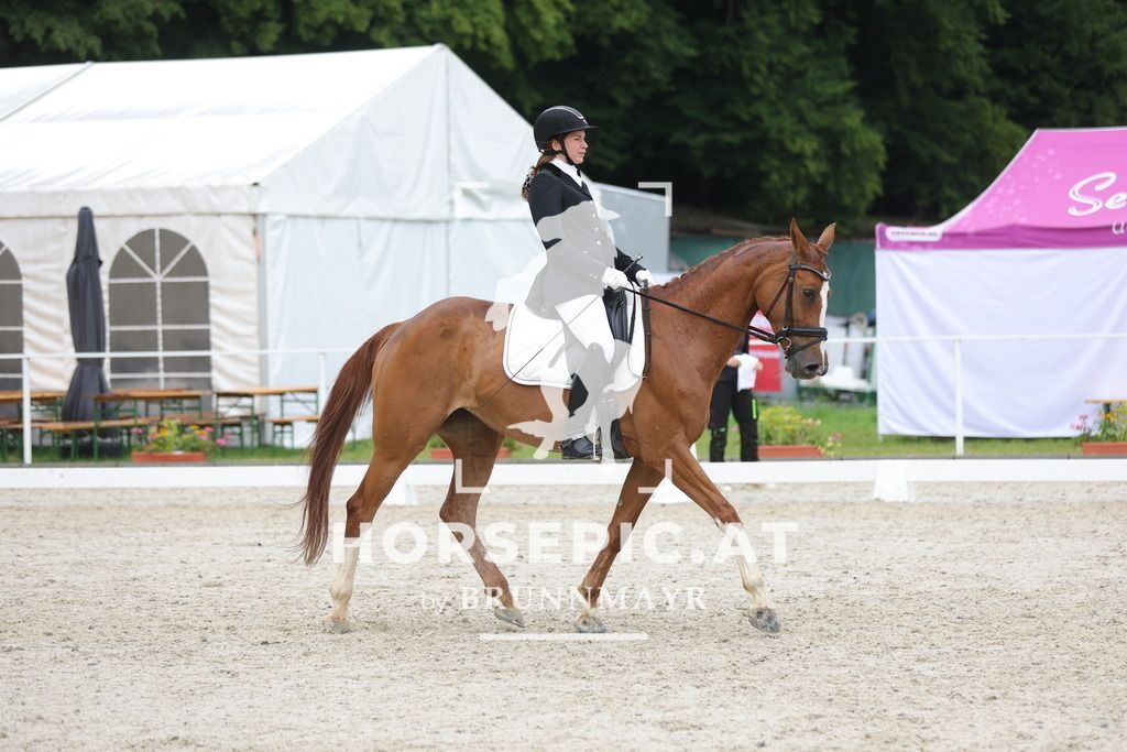 0P6A3638 | Willkommen bei Brunnmayr - Design & Fotografie – Ihrem Spezialisten für Reitturniere und Pferdeveranstaltungen in Oberösterreich, Salzburg und Bayern! Seit über 17 Jahren sind wir leidenschaftlich dabei.