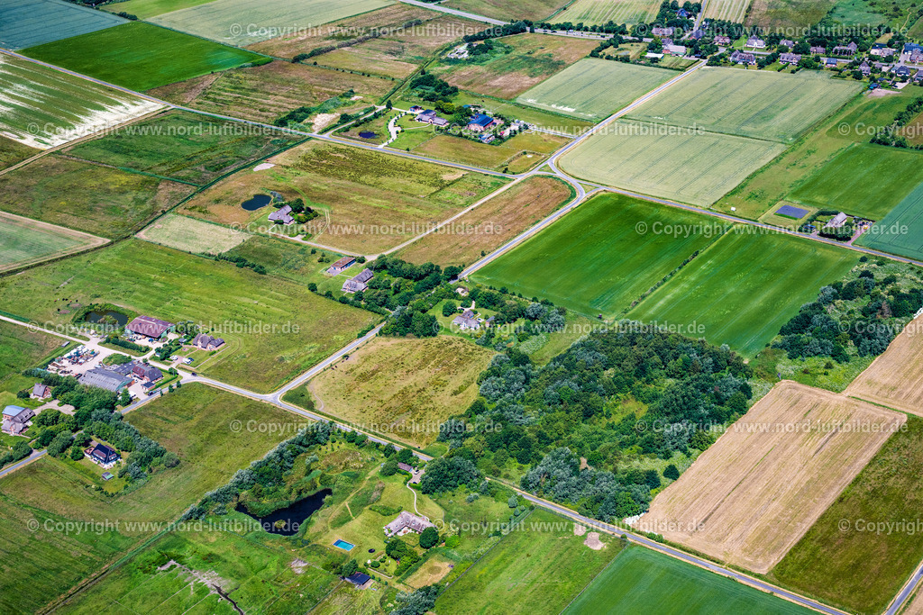 Sylt_Morsum_Schellinghörn_ELS_4033210625 | SYLT 13.08.2025 Wiesenland Ansicht von Morsum Schillinghörn im Bundesland Schleswig-Holstein. // Meadowland view of Morsum Schillinghoern in the federal state of Schleswig-Holstein. Foto: Martin Elsen