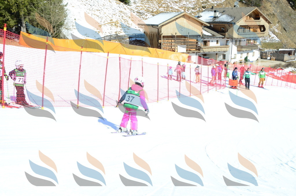 C5006 | holidayphoto