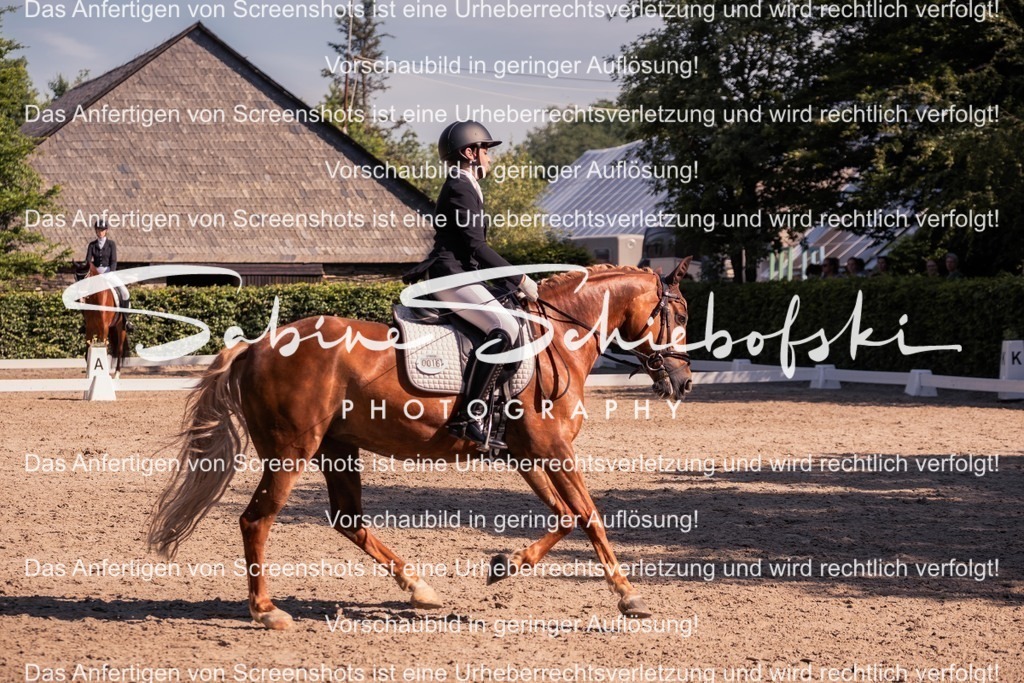 2025_05_31_DSCF2988 | People- und Tierfotografie, Imageaufnahmen, Veranstaltungsfotografie und Wandbilder aus der Natur ★ Made in Germany ✔️ Druck + Downloads ✔️ Naturfotografie in Top Qualität ★ schneller Versand, weltweite Lieferung! - Realisiert mit Pictrs.com