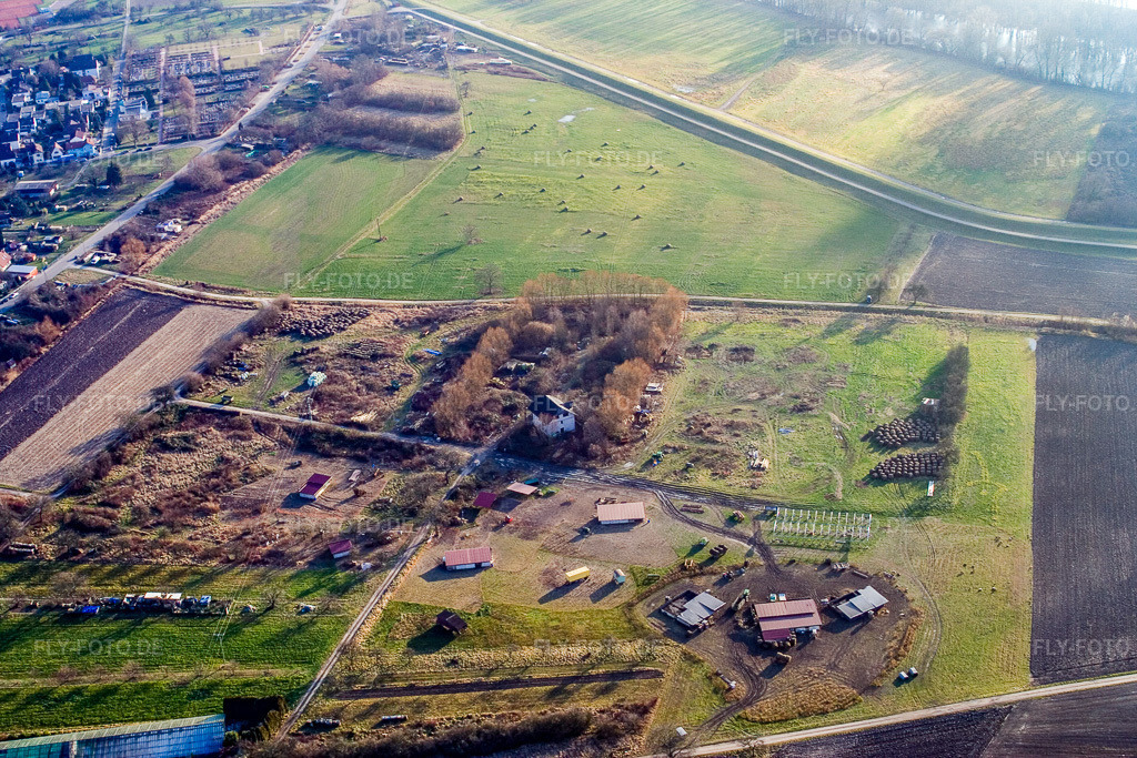 Luftbild: Am Rheindamm im Ortsteil Maximiliansau in Wörth im Bundesland Rheinland-Pfalz in Deutschland. Foto: IMG_9101.jpg vom 15.12.2007 durch Werner Riehm/FLY-FOTO.de