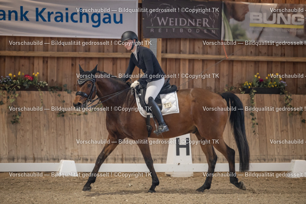 _D5A6024 | Emotionale Pferde- & People-Fotografie rund um Heidelberg, Leimen & Umgebung. Natürliche Fotos von Pferd, Mensch & Familie. Jetzt Termin sichern!