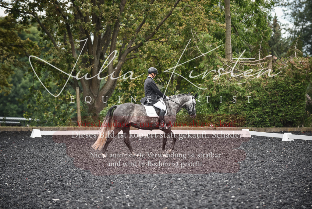 DSC_4618 | Pferde- und Turnierfotografie in Westsachsen. Pferdeportraits, Auftragszeichnungen und intuitive Kunst.